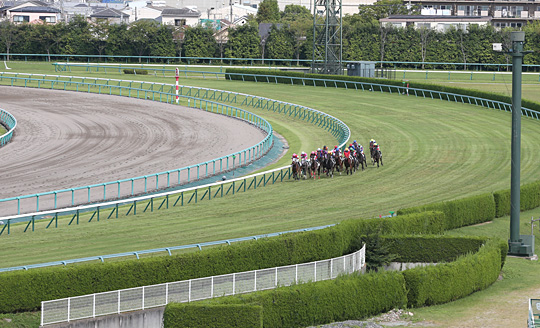 京都記念は2/11京都競馬場で開催