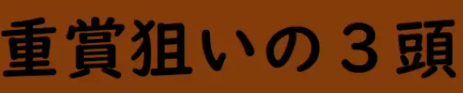 重賞狙いの3頭が、京成杯でワイドトリプル的中！
