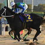 大井競馬重賞・金盃注目の競馬のレジまぐ予想は？