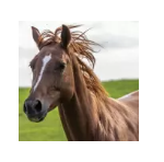 小倉大賞典で回収率410%を記録したレジまぐ予想記事は？