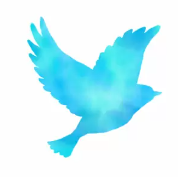 きさらぎ賞で回収率第一位のレジまぐ予想は？