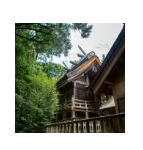 チューリップ賞1点勝負で1万⇒9万4000円にしたレジまぐ予想は？