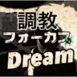 オーシャンステークスで回収率406.7%を記録したレジまぐメルマガは？