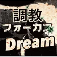 オーシャンステークスで回収率406.7%を記録したレジまぐメルマガは？
