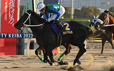 大井競馬重賞・金盃注目の競馬のレジまぐ予想は？